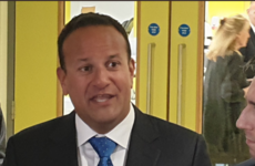 'Volatile and dynamic': Varadkar says Ireland will be keeping a close eye on the House of Commons this week