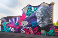 Council orders removal of second Subset mural in Dublin