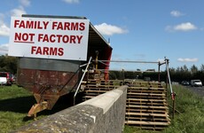 Chinese inspection of Roscommon meat plant didn't go ahead because of protest