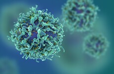 People in richer countries more likely to die from cancer, says new study