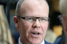 TD told he has no right to speak on behalf of beef farmers in High Court