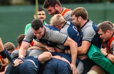 Schmidt's squad 'utterly committed' to getting beyond World Cup quarter-finals