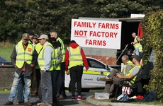 Chinese delegation will visit Roscommon meat plant today following mediation with protesters