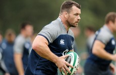 Healy back from injury as Schmidt names strong team for final World Cup warm-up