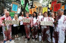 Opinion: Irish people must reduce meat and dairy consumption and production to tackle emissions