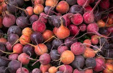 From the Garden: Salvaging the last beets of the season and putting them in a kraut
