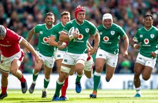 Player ratings as Ireland steady themselves to beat Wales in RWC warm-up