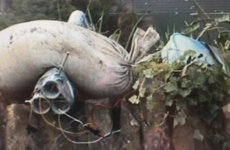 New IRA responsible for mortar device left outside Co Tyrone homes, PSNI claims