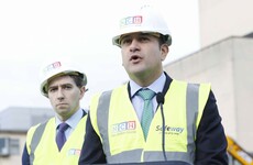 Harris says National Children's Hospital will open as planned in 2023, despite reported delays