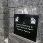 It should be possible to collect Tuam survivor DNA samples before legislation, report says