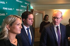 'Time to level with people': Coveney says customs checks after no-deal will be temporary and away from the border