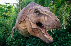 A Jurassic World short film was secretly shot in Ireland last winter, and it's set to air this weekend