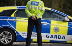 Fake gun and €60,000 worth of cocaine seized in Cork