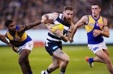 Tuohy and O'Connor help Geelong get back on track with win in 2019 AFL finals