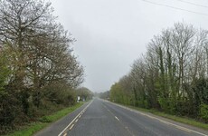 Man (20s) killed in single-vehicle crash in Wexford