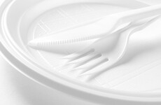 'Radical' new government strategy to ban single-use plastic plates, cutlery, straws