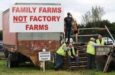 Agreement reached in beef row as talks conclude between farmers and meat factories