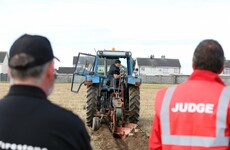 Farming robots and Marty Morrissey's love island: Everything you need to know about The Ploughing
