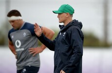Schmidt's Ireland 'simmering up' for blockbuster weekend in Yokohama