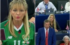 Nigel Farage says EU's tone is 'emollient' as Martina Anderson dons Irish jersey in EU parliament