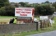 Farmers continue to protest at meat factories despite voting to stand down blockades