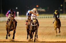 The nights are getting longer, the mornings colder and nothing invites the winter like racing at Dundalk