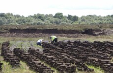 Environmental group wins landmark case over large-scale peat extraction