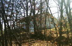Missing three found dead in Ohio hollow tree