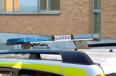 Burglars believed to have been armed with meat cleaver in raid on Limerick house