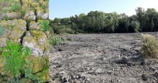Council confirms it deposited silt on 'destroyed' Tallaght wetlands