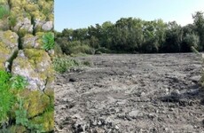 'It defies logical explanation': Martin demands inquiry into Tallaght wetlands controversy