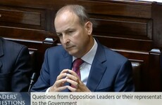 'Lunney attack was the last straw': Martin says cross-border agency needed to root the 'evil out of the border region'