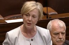 Minister accused of damaging Ireland's reputation by appealing the Data Commissioner's PSC findings