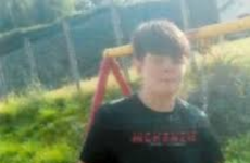 Gardaí and family have 'serious concerns' for 13-year-old boy missing from Co Wexford