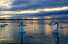 Galway topples Kerry as favourite Irish holiday destination