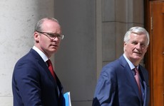 Coveney warns that 'time is running out' after Brexit meeting with Barnier