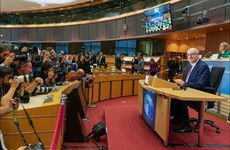 A tango in the jungle: Phil Hogan targets US and China in trade brief grilling