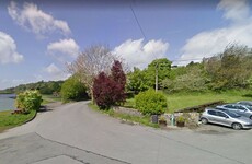 Cork locals buy their village green at auction