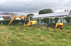 'We're terrified the bulldozers will move in': Locals fight to save animal habitat in Dublin park