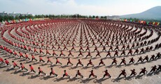 Everybody Was Kung Fu Fighting Pic of the Day