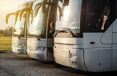 An underage Irish sportswoman was racially abused and punched on a bus last year