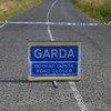 Man (20s) dies in Kilkenny road crash overnight