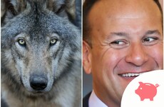 Taoiseach says he'd sooner bring back wolves to Ireland than let Sinn Féin into government