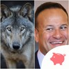 Taoiseach says he'd sooner bring back wolves to Ireland than let Sinn Féin into government