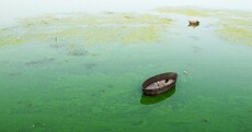 The week in photos: Waterworld