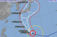 Ireland set for Fukuoka on Saturday as Hagibis forecasted to veer north
