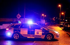 Gardaí bitten and kicked during violent arrest in Waterford