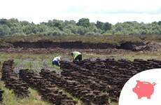What will the newly-announced 'Just Transition Commissioner’ for Bord na Móna do?