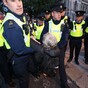 Extinction Rebellion protesters moved by gardaí during sit-in outside Dáil