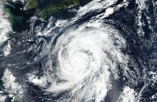 England v France and New Zealand v Italy games called off at the World Cup
